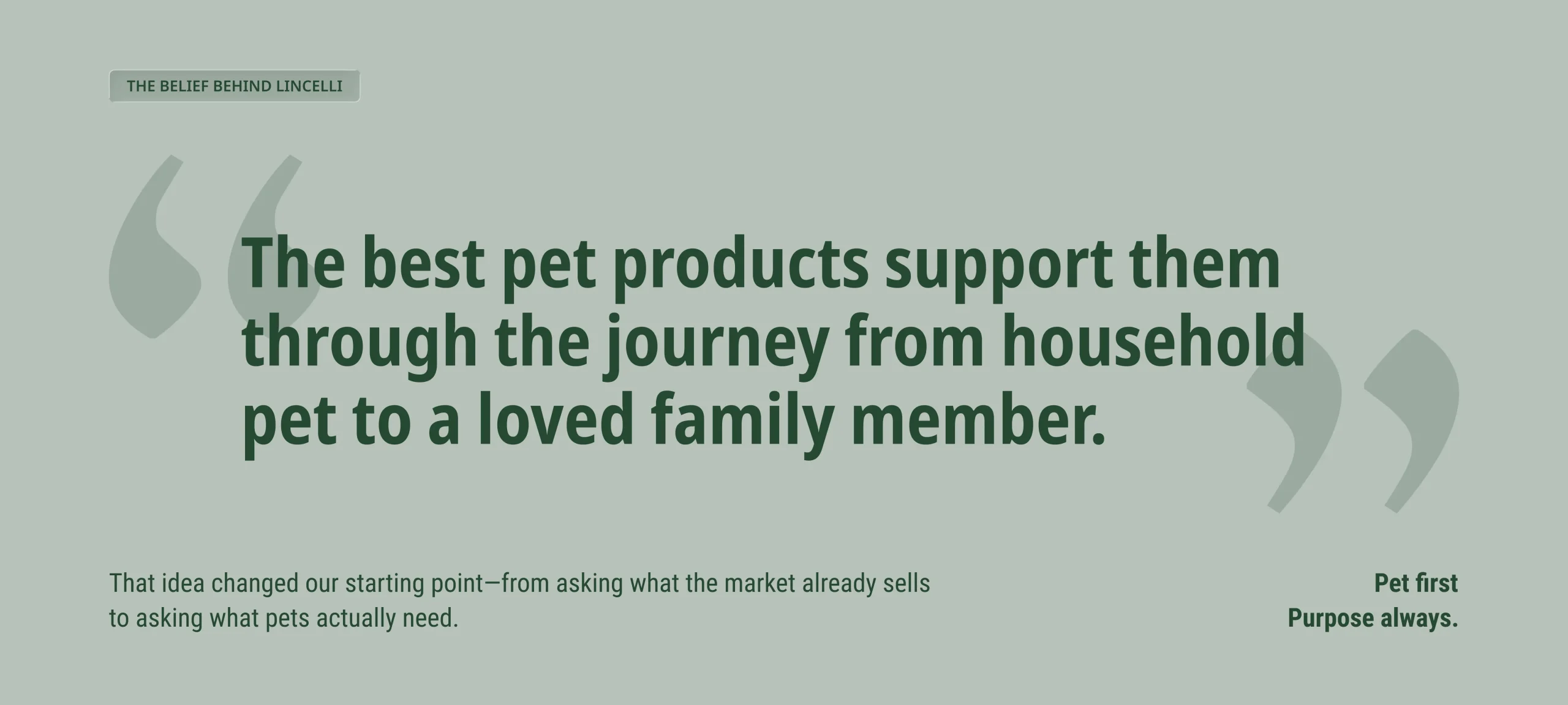 Modern Dog Bed Manufacturer