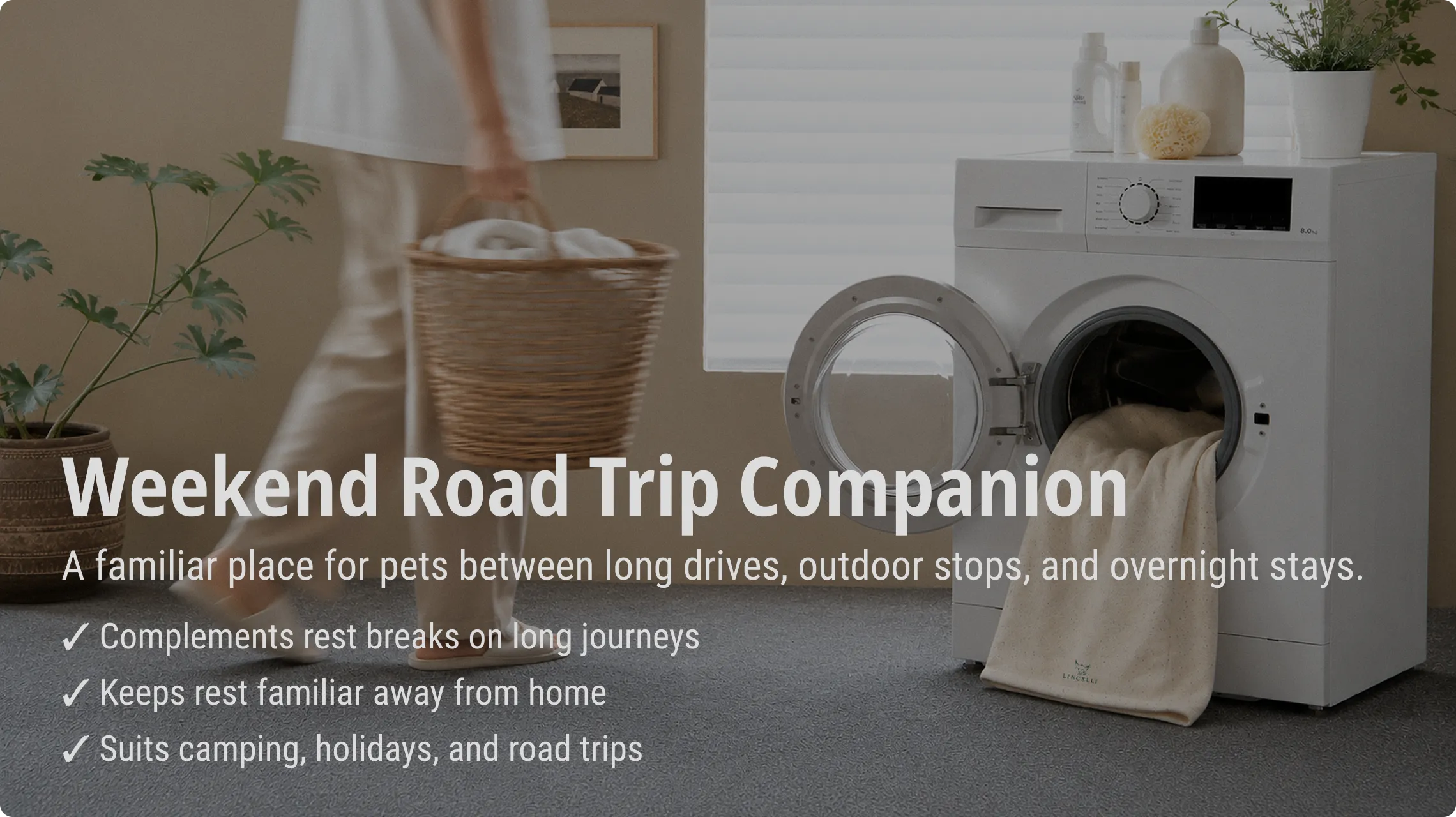 Modern Dog Bed Manufacturer