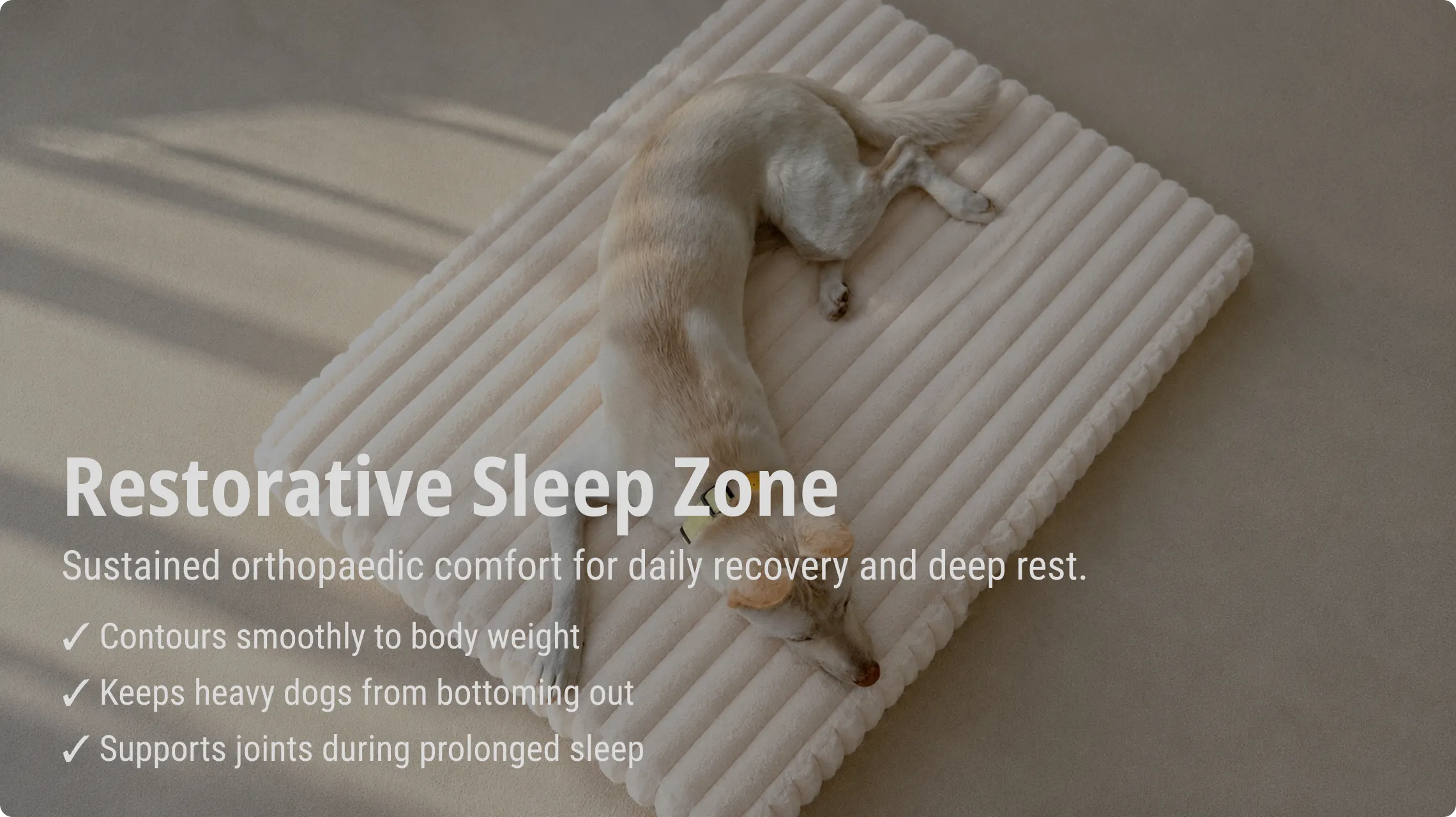 Modern Dog Bed Manufacturer