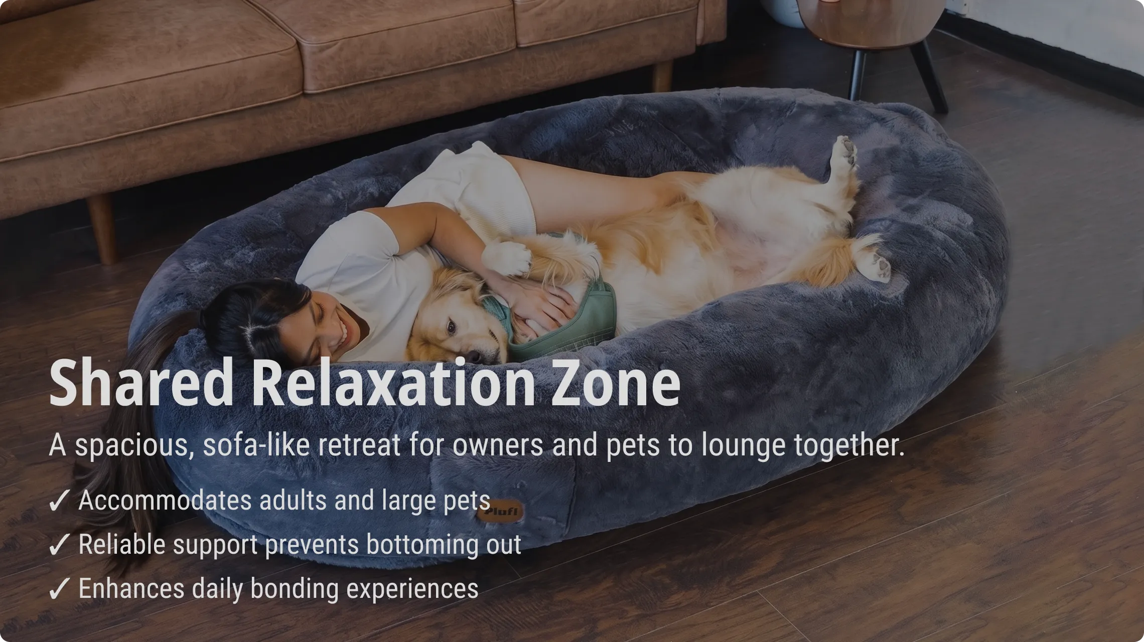 Modern Dog Bed Manufacturer