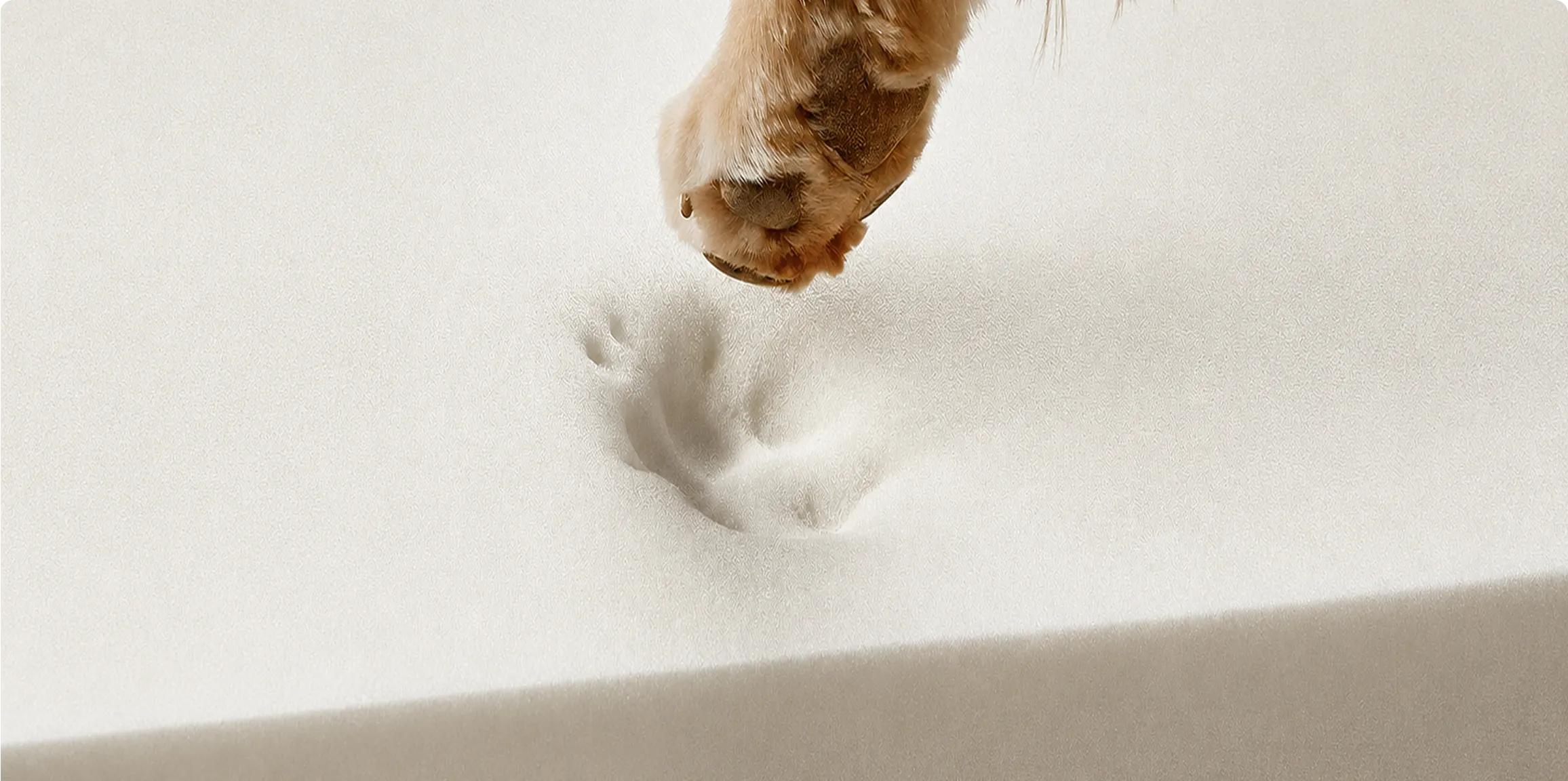 Custom Memory Foam Dog Bed Manufacturer
