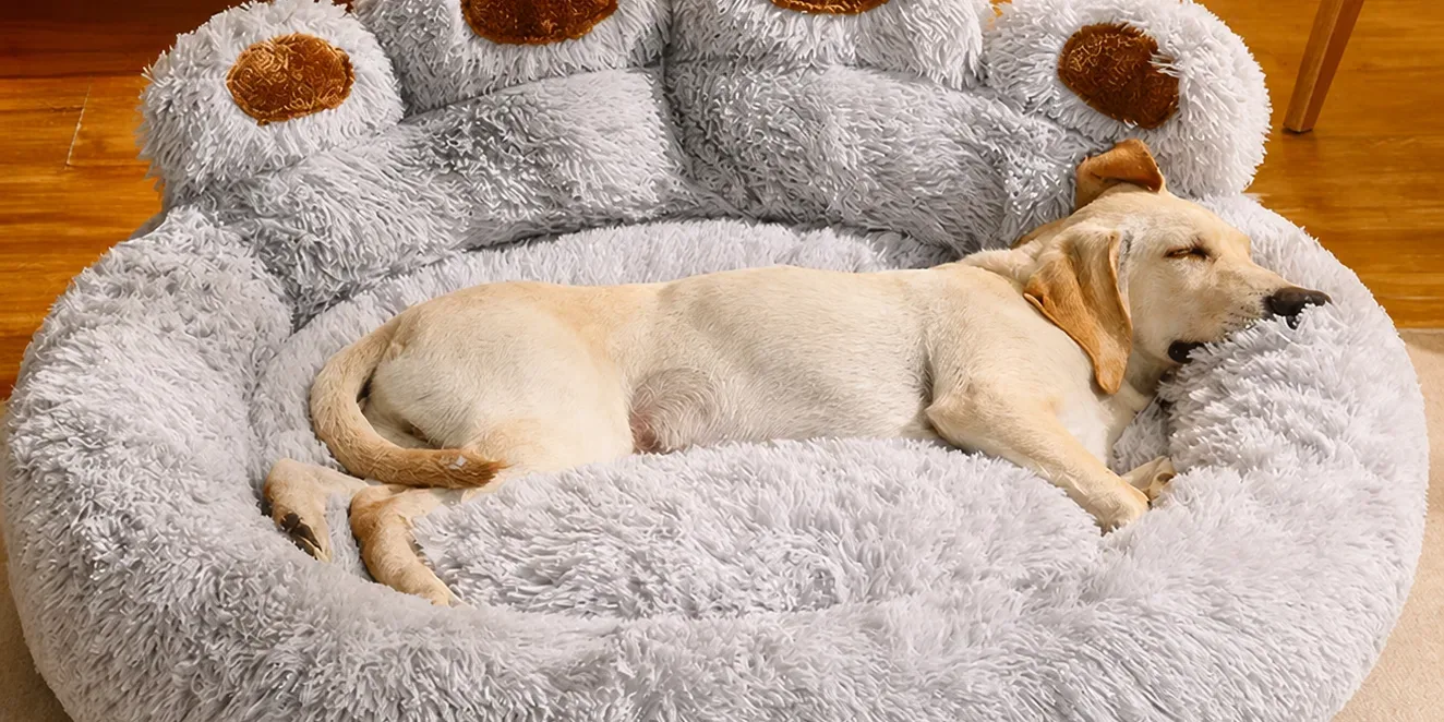 Senior Dog Bed Specifications: Foam Firmness and Thickness Considerations